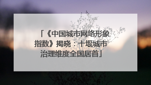 《中国城市网络形象指数》揭晓：十堰城市治理维度全国居首