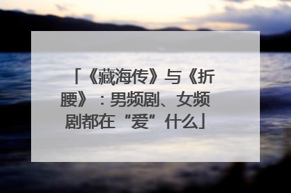 《藏海传》与《折腰》：男频剧、女频剧都在“爱”什么