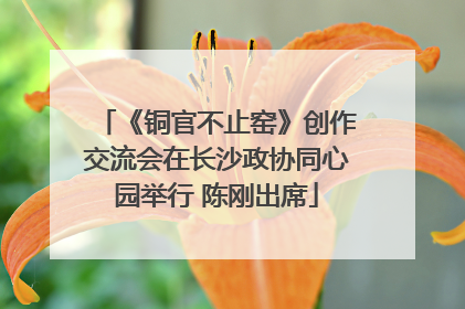 《铜官不止窑》创作交流会在长沙政协同心园举行 陈刚出席