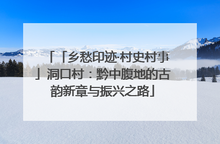 「乡愁印迹·村史村事」洞口村：黔中腹地的古韵新章与振兴之路