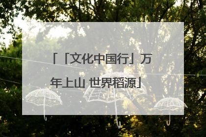 「文化中国行」万年上山 世界稻源