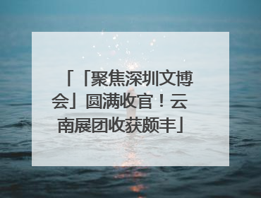 「聚焦深圳文博会」圆满收官！云南展团收获颇丰
