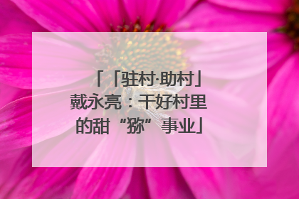 「驻村·助村」戴永亮：干好村里的甜“猕”事业