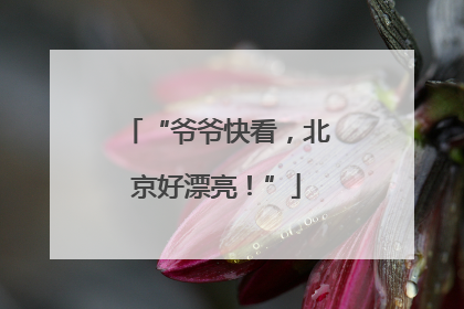 “爷爷快看，北京好漂亮！”