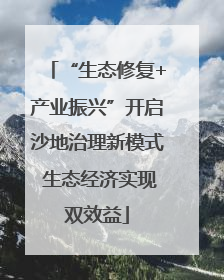 “生态修复+产业振兴”开启沙地治理新模式 生态经济实现双效益