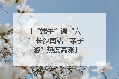 “端午”遇“六一” 长沙南站“亲子游”热度高涨