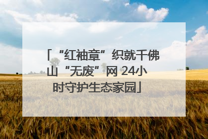 “红袖章”织就千佛山“无废”网 24小时守护生态家园