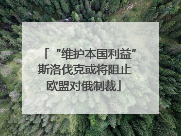 “维护本国利益” 斯洛伐克或将阻止欧盟对俄制裁