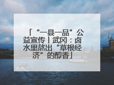 “一县一品”公益宣传丨武冈：卤水里熬出“草根经济”的醇香