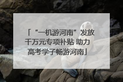 “一机游河南”发放千万元专项补贴 助力高考学子畅游河南