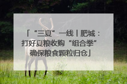“三夏”一线丨肥城：打好夏粮收购“组合拳” 确保粮食颗粒归仓