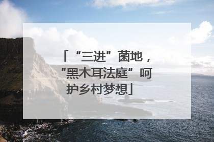 “三进”菌地，“黑木耳法庭”呵护乡村梦想