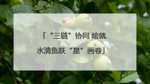 “三链”协同 绘就水清鱼跃“星”画卷