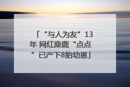 “与人为友”13年 网红麋鹿“点点”已产下8胎幼崽