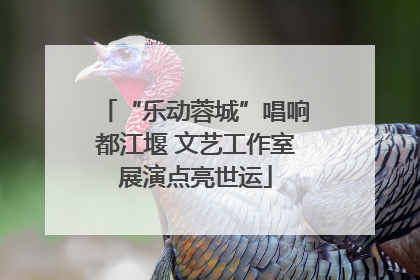 “乐动蓉城”唱响都江堰 文艺工作室展演点亮世运