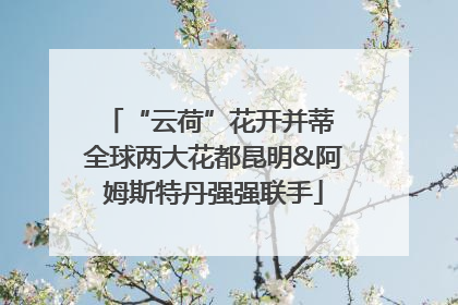 “云荷”花开并蒂 全球两大花都昆明&阿姆斯特丹强强联手