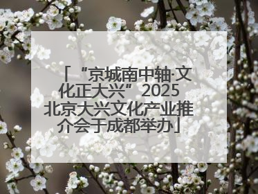 “京城南中轴·文化正大兴”2025北京大兴文化产业推介会于成都举办