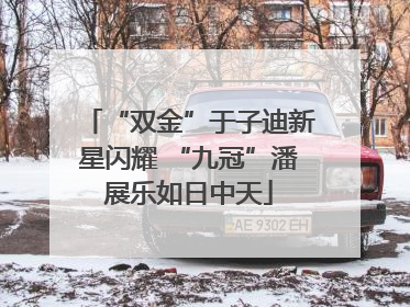 “双金”于子迪新星闪耀 “九冠”潘展乐如日中天