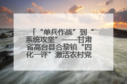 “单兵作战”到“系统攻坚”——甘肃省高台县合黎镇“四化一评”激活农村党员管理新引擎