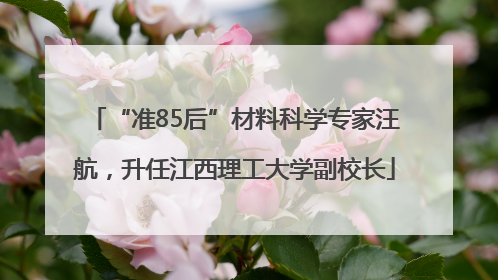 “准85后”材料科学专家汪航，升任江西理工大学副校长