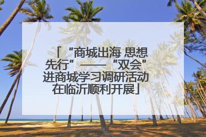 “商城出海 思想先行”——“双会”进商城学习调研活动在临沂顺利开展