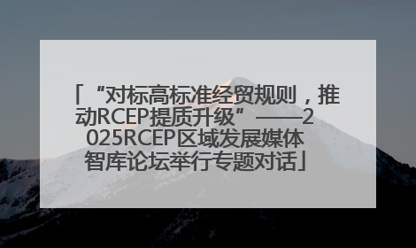 “对标高标准经贸规则，推动RCEP提质升级”——2025RCEP区域发展媒体智库论坛举行专题对话