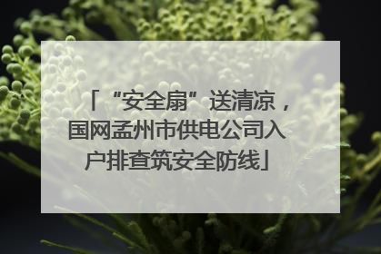 “安全扇”送清凉，国网孟州市供电公司入户排查筑安全防线