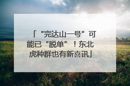 “完达山一号”可能已“脱单”！东北虎种群也有新喜讯