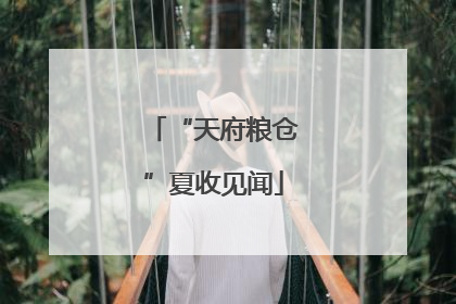 “天府粮仓”夏收见闻