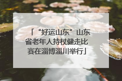 “好运山东”山东省老年人持杖健走比赛在淄博淄川举行