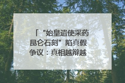 “始皇遣使采药昆仑石刻”陷真假争议：真相越辩越明｜新京报专栏