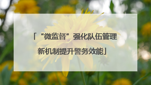 “微监督”强化队伍管理 新机制提升警务效能