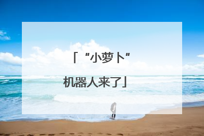 “小萝卜”机器人来了