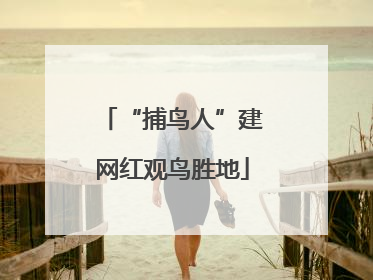 “捕鸟人”建网红观鸟胜地