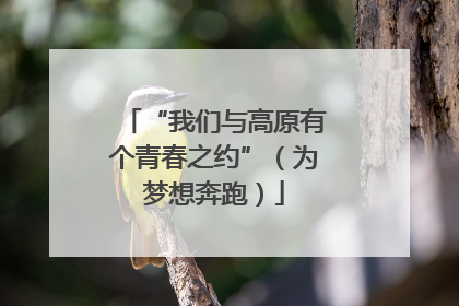 “我们与高原有个青春之约”（为梦想奔跑）