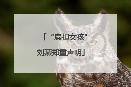 “扁担女孩”刘燕郑重声明