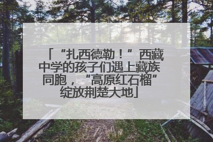 “扎西德勒！”西藏中学的孩子们遇上藏族同胞，“高原红石榴”绽放荆楚大地