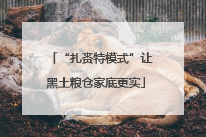 “扎赉特模式”让黑土粮仓家底更实