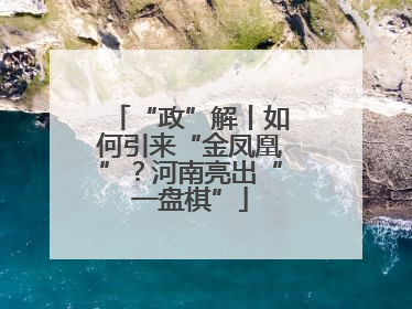 “政”解丨如何引来“金凤凰”？河南亮出“一盘棋”