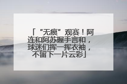 “无痕”观赛！阿连和阿苏握手言和，球迷们挥一挥衣袖，不留下一片云彩