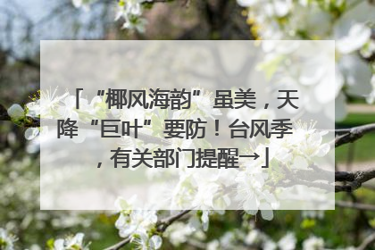 “椰风海韵”虽美，天降“巨叶”要防！台风季，有关部门提醒→