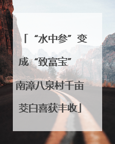 “水中参”变成“致富宝” 南漳八泉村千亩茭白喜获丰收