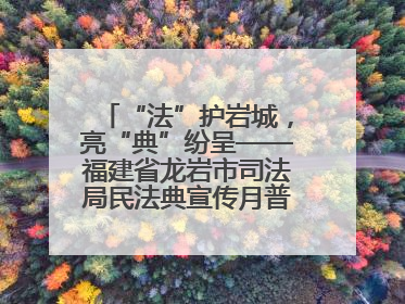 “法”护岩城，亮“典”纷呈——福建省龙岩市司法局民法典宣传月普法活动纪实