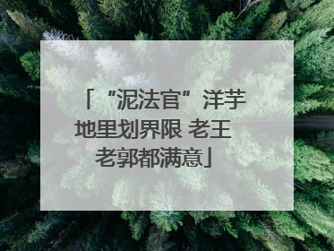 “泥法官”洋芋地里划界限 老王老郭都满意