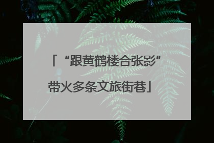 “跟黄鹤楼合张影”带火多条文旅街巷