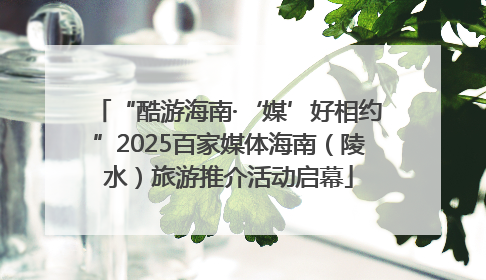 “酷游海南·‘媒’好相约”2025百家媒体海南（陵水）旅游推介活动启幕