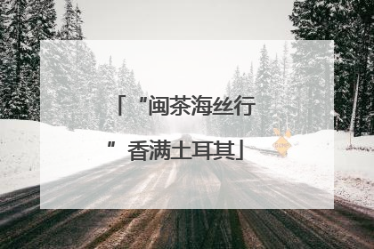 “闽茶海丝行”香满土耳其