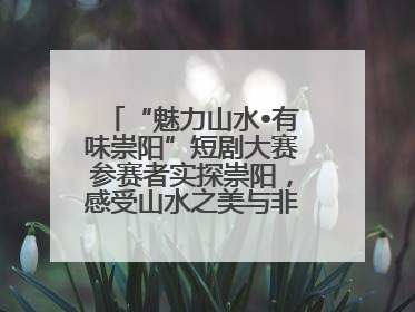 “魅力山水•有味崇阳”短剧大赛参赛者实探崇阳，感受山水之美与非遗文化“提琴戏”魅力