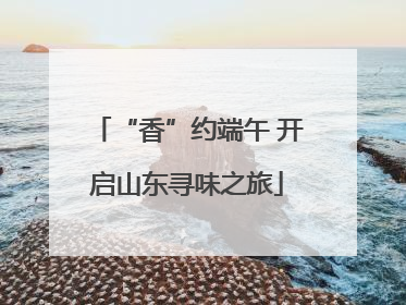 “香”约端午 开启山东寻味之旅
