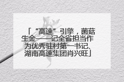 “高速”引擎，菌菇生金——记全省担当作为优秀驻村第一书记、湖南高速集团肖兴旺